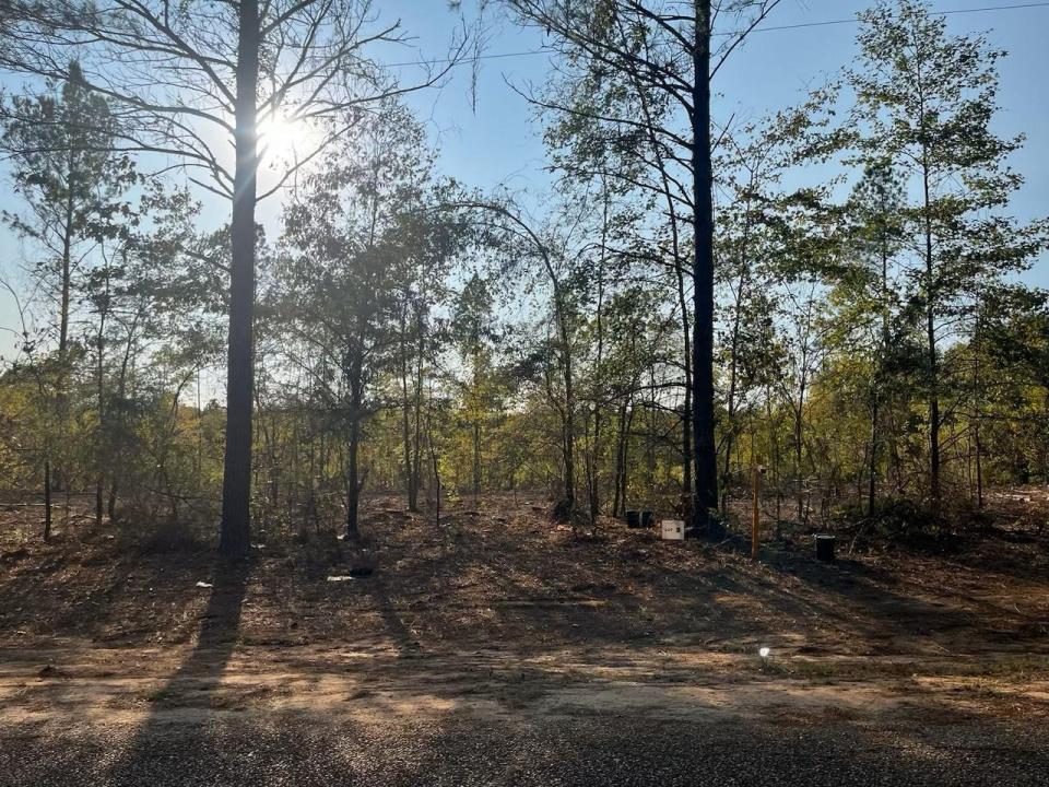 3 Lake Road, Plain Dealing, ルイジアナ 71064, アメリカ合衆国