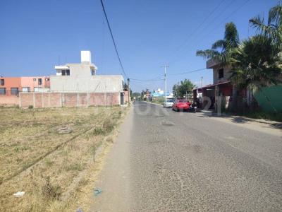 FRANCISCO I MADERO S/N,, San Pedro Cholula, Puebla 72760, Meksyk