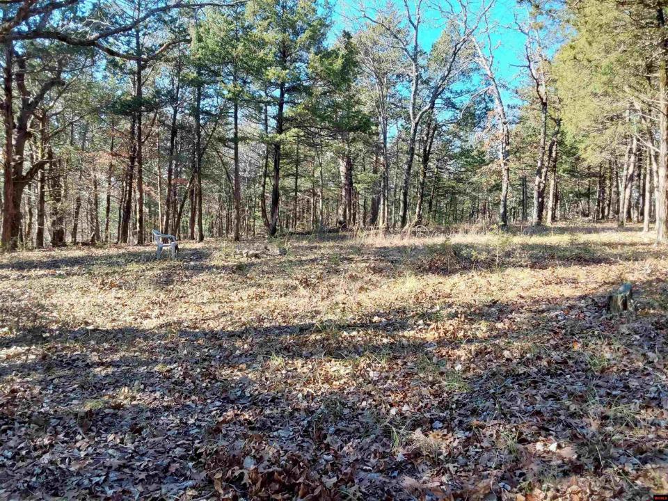 Lot 1-4 MC 131, Oakland, Arkansas 72661, Stati Uniti