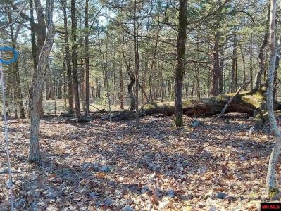 Lot 1-4 MC 131, Oakland, Arkansas 72661, Stati Uniti