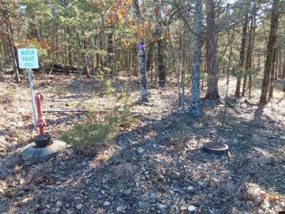 Lot 1-4 MC 131, Oakland, Arkansas 72661, Stati Uniti