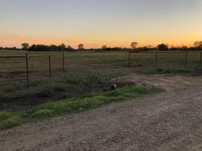 TBD Collegiate Dr., Paris, Texas 75460, Stati Uniti