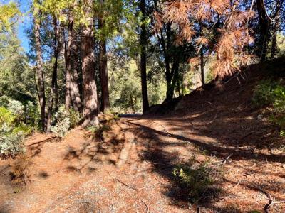 50963 Chu Ranch Rd, Oakhurst, California 93644, USA