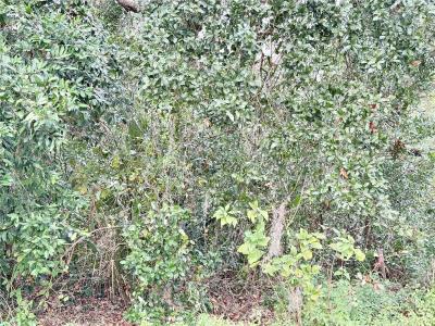 0 Hilda Rd., Dade City, Floryda 335223, USA