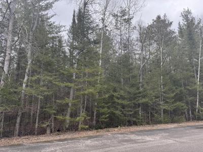 Lot 192 Sunaqua Drive, Presque Isle, Michigan 49777, USA