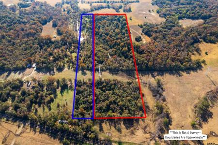 TBD CR 3170, Mt Vernon, Texas 75457, Estados Unidos