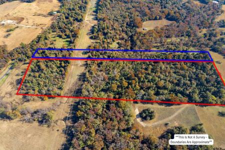 TBD CR 3170, Mt Vernon, Texas 75457, Estados Unidos