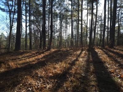 10B Savannah Bay Dr., Lincolnton, Geórgia 30817, Estados Unidos