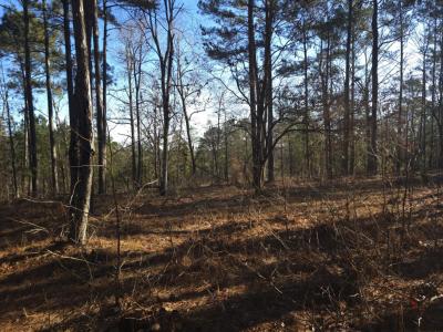 10B Savannah Bay Dr., Lincolnton, Geórgia 30817, Estados Unidos