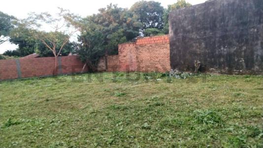 Republica Argentina casi Paraguay , Villa Elisa, Central 00001, パラグアイ
