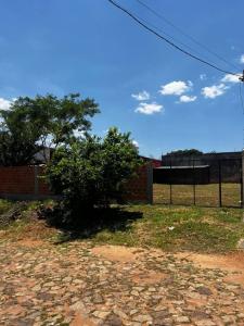 Republica Argentina casi Paraguay , Villa Elisa, Central 00001, パラグアイ