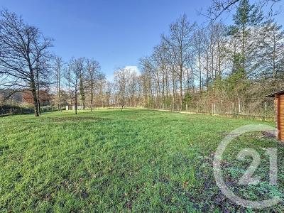 Pruniers En Sologne, Centre 41200, France