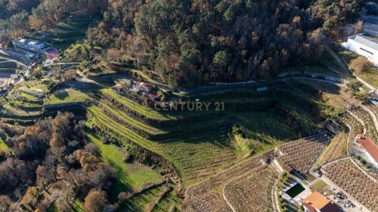 Amarante, Porto 4600-620, Portugal