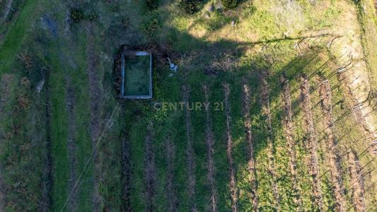 Amarante, Porto 4600-620, Portugal