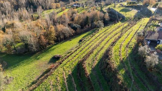 Amarante, Porto 4600-620, Portugal