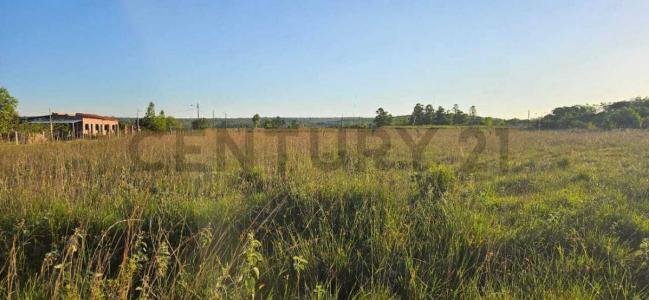 A 200 metros de la ruta Nueva Colombia Loma Grande - Fracción Jardín de Colombia , Nueva Colombia, Cordillera 00001, Paraguay