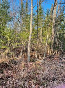 5 Acres N Everett, Roscommon, Мичиган 48653, Соединенные Штаты