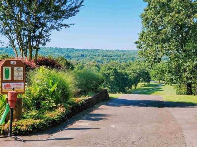lot 2993 Ivy Hill Court, Hot Springs, 阿肯色州 71913, 美國