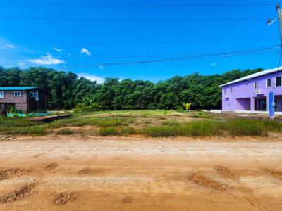 Hopkins, Stann Creek 00001, Belize