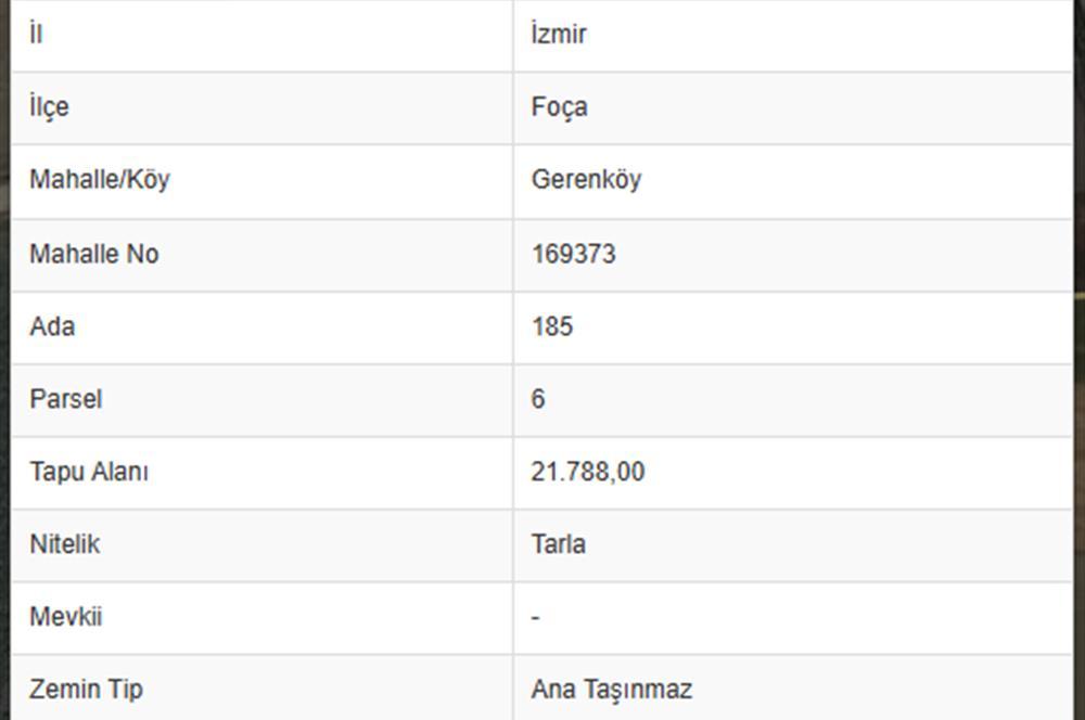 Izmir, Turchia