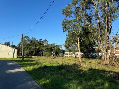 Marinha Grande, Leiria 2445-586, Portugal