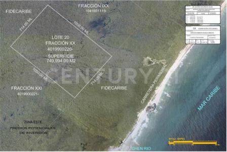 Cozumel, 金塔纳罗奥 77601, 墨西哥