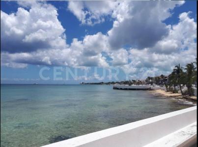 Cozumel, 金塔纳罗奥 77601, 墨西哥