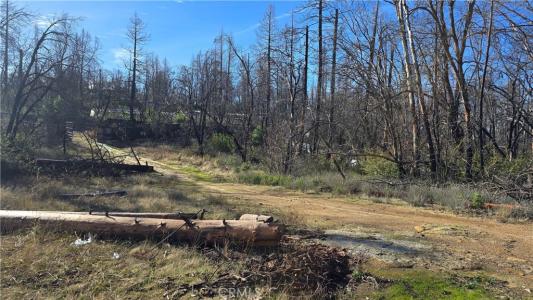 7 Horseshoe Trail, Berry Creek, California 95916