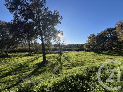 Cogolin, Provence-Alpes-Côte D'Azur 83310, Pháp