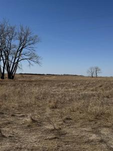 TBD NW 23rd Ave, Antler, North Dakota 58711