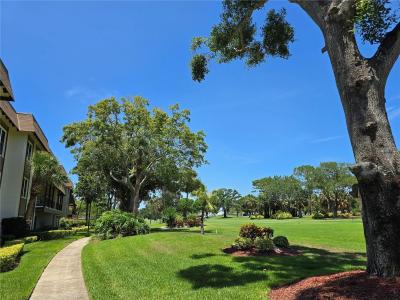 3031 COUNTRYSIDE BOULEVARD 35C, CLEARWATER, Florida 33761, USA