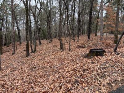 1023 Sparrows Nest, Big Canoe, Georgia 30143, USA