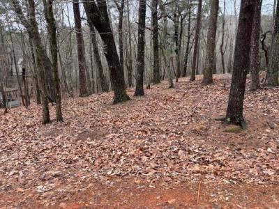 1023 Sparrows Nest, Big Canoe, Georgia 30143, USA