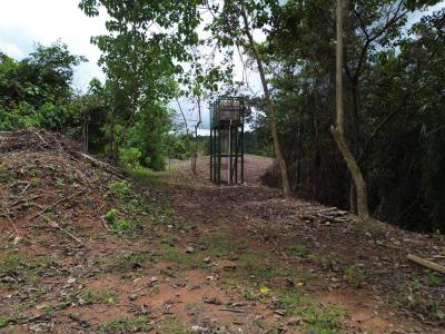 Palmar Sur Osa, 蓬塔雷納斯 00001, 哥斯達尼加