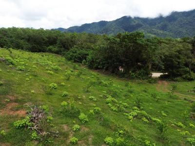 Palmar Sur Osa, 蓬塔雷納斯 00001, 哥斯達尼加