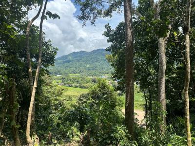 Palmar Sur Osa, 蓬塔雷納斯 00001, 哥斯達尼加