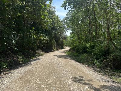 Palmar Sur Osa, 蓬塔雷納斯 00001, 哥斯達尼加