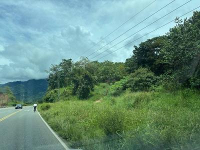 Palmar Sur Osa, 蓬塔雷納斯 00001, 哥斯達尼加