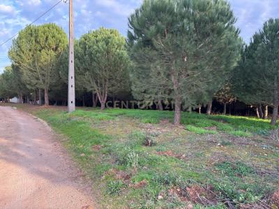 Ferreira Do Zêzere, 산타렘 2240-111, 포르투갈