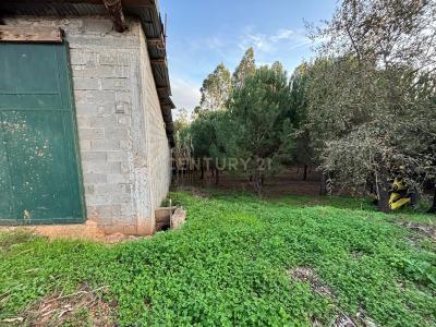 Ferreira Do Zêzere, سانتاريم 2240-111, البرتغال