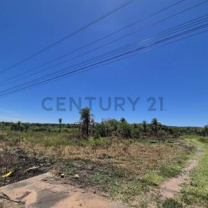 ALMADA , Caacupé, Cordillera 00001, Paraguay