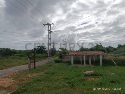 Carretera Nacional Higuerote Tacarigua Parcela de Terreno, Higuerote, Miranda 1231, Venezuela