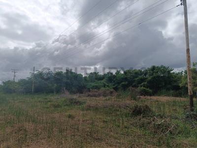 Higuerote, Miranda 1231, Venezuela