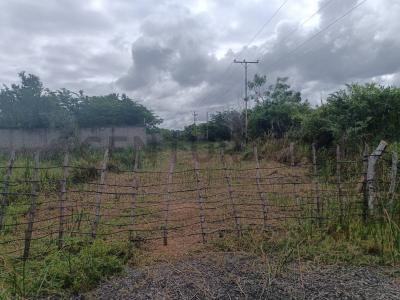 Higuerote, Miranda 1231, Venezuela