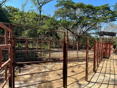 Barinas, Barinas 5201, Venezüella