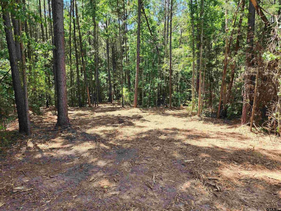 TBD CR 4114 #3 10.00 Acres, Hughes Springs, Техас 75656, Соединенные Штаты