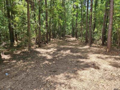 TBD CR 4114 #3 10.00 Acres, Hughes Springs, Техас 75656, Соединенные Штаты