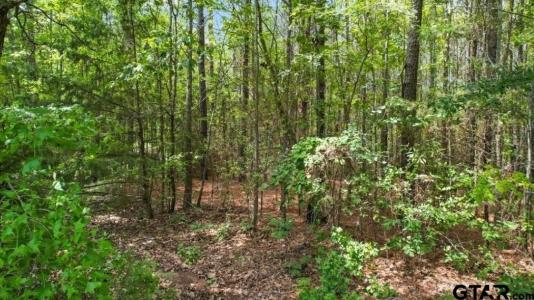 TBD CR 4114 #3 10.00 Acres, Hughes Springs, Техас 75656, Соединенные Штаты
