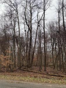 7326 State Route 19 Unit 9, Lot 2, Mount Gilead, オハイオ 43338, アメリカ合衆国