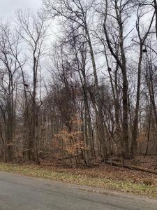 7326 State Route 19 Unit 9, Lot 2, Mount Gilead, オハイオ 43338, アメリカ合衆国